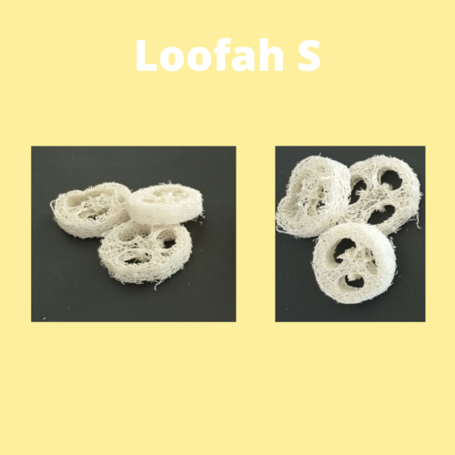 Rondelles de Loofah S  X 3 pièces