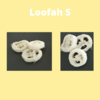 Rondelles de Loofah S  X 3 pièces