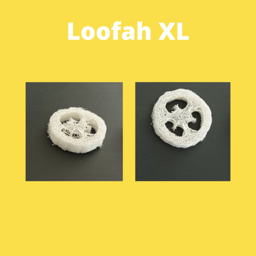 Rondelles de Loofah XL - la pièce