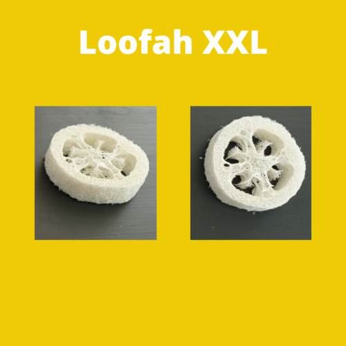 Rondelles de Loofah XXL - la pièce