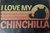 Plaque déco métal - Sunset love chinchilla