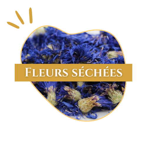 logo_Fleurs_sechees