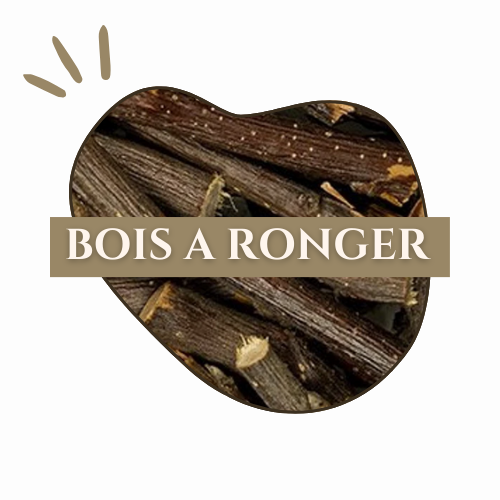 logo_bois_a_ronger