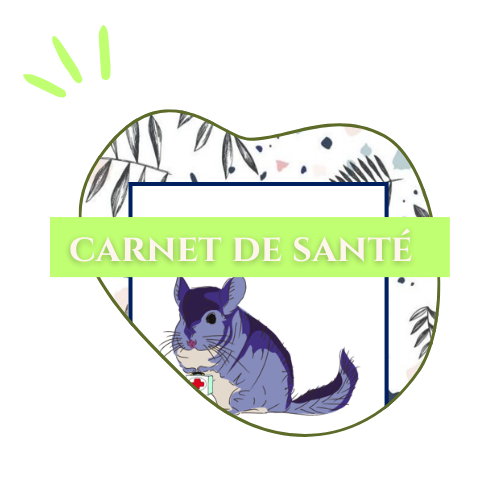 logo_carnet_sante