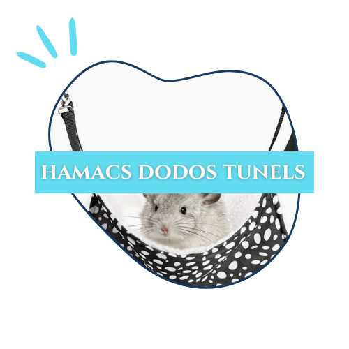 logo_dodohamacs