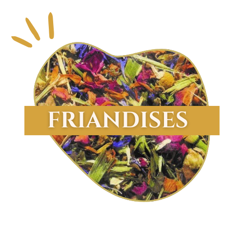 logo_friandises