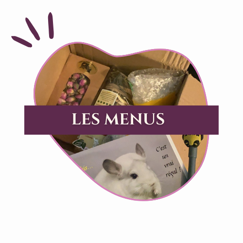 logo_menus