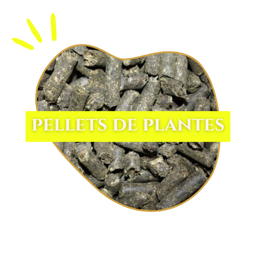 logo_pelletsplantes