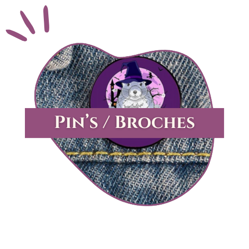 pins_broches
